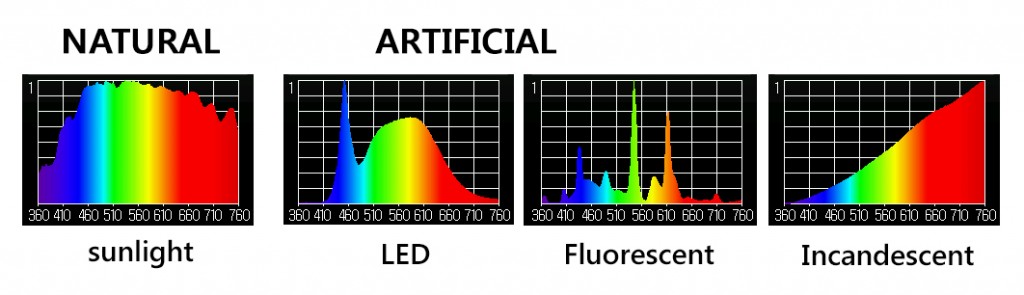 Spectral distributions of natural sunlight and artificial LED, fluorescent and incandescent light